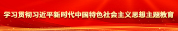 操逼视频dh学习贯彻习近平新时代中国特色社会主义思想主题教育